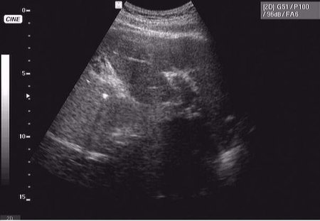 Онищук76 44.JPG