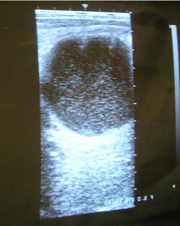 вот так фотографируют профессионалы (состояние "до")