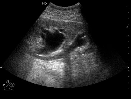 07-11-02-150511_ 80_20071102_175635_0007.jpg